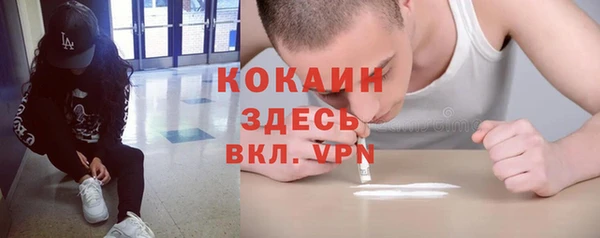 первитин Михайлов