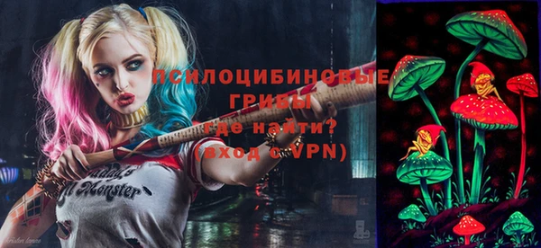 первитин Михайлов