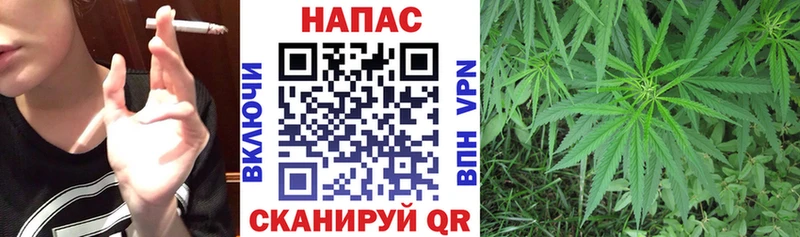 Бошки марихуана марихуана  Нюрба 